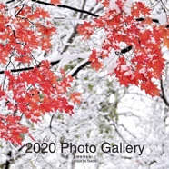2020 Photo Gallery
