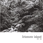 Iriomote island