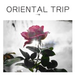 ORIENTAL TRIP